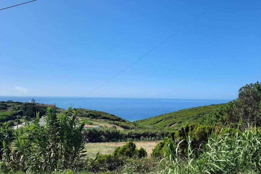 Sunflower Sea View with magnificent terrace in Serra da Pescaria, Nazaré - Portugal Exterior foto