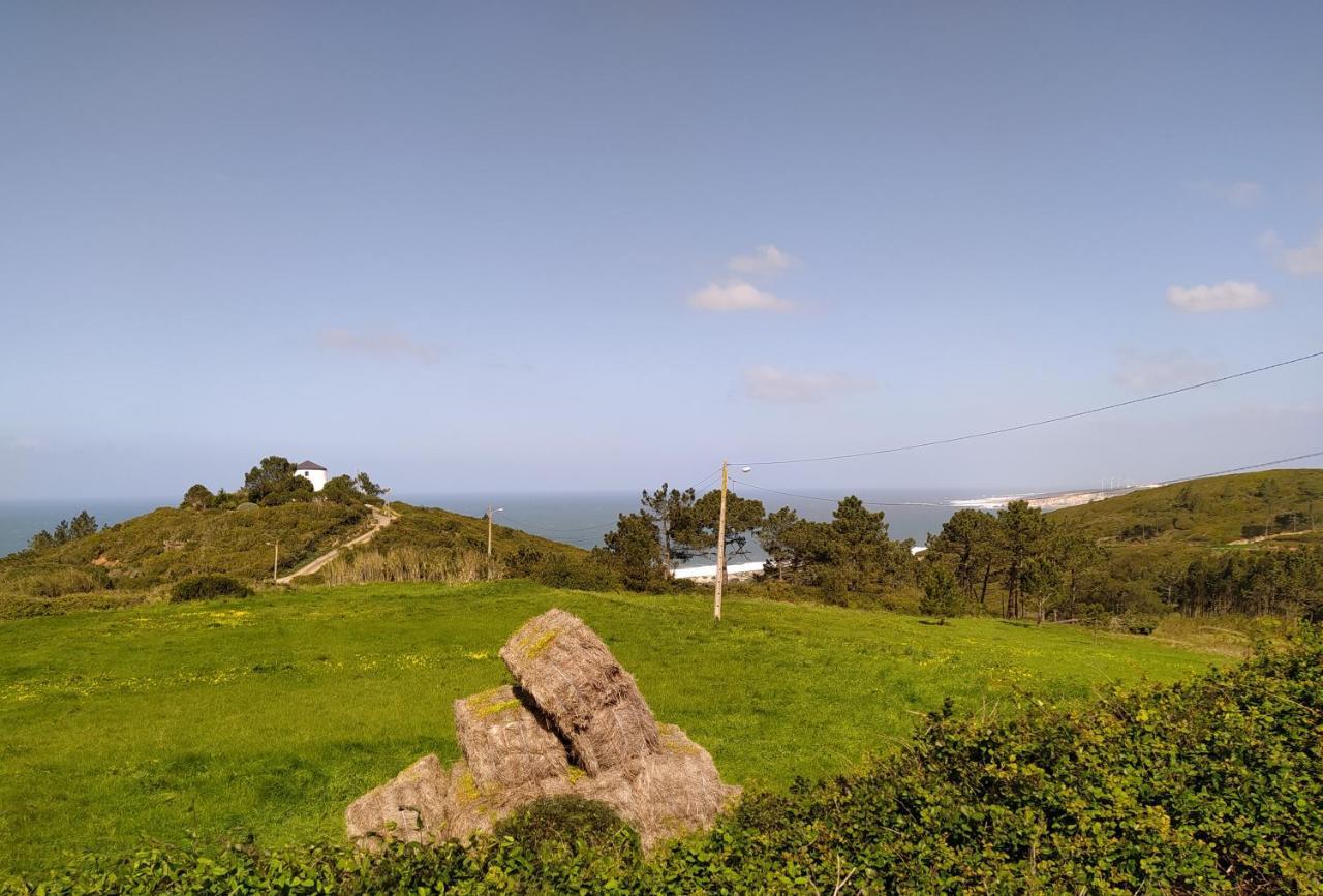 Sunflower Sea View with magnificent terrace in Serra da Pescaria, Nazaré - Portugal Exterior foto