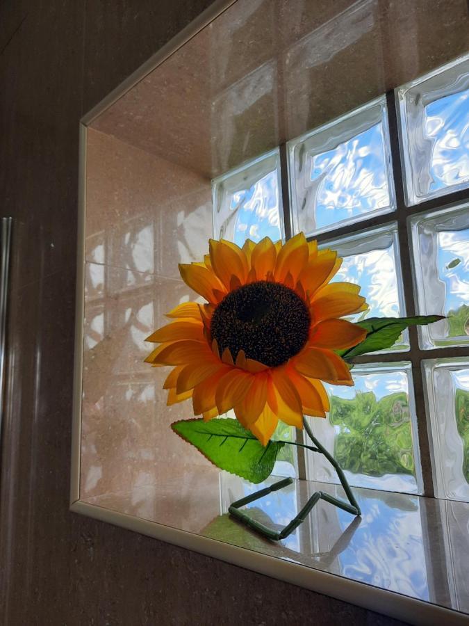 Sunflower Sea View with magnificent terrace in Serra da Pescaria, Nazaré - Portugal Exterior foto